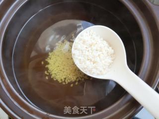 陈皮绿豆胚芽米粥的做法步骤：5