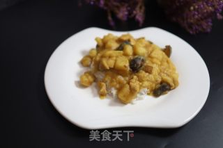 咖喱鸡肉土豆拌饭的做法步骤：9