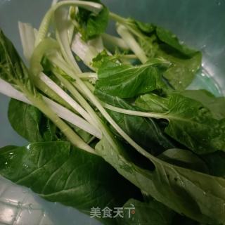 肉沫海米青菜粥的做法步骤：3