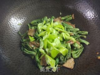 东北野山珍~肉炒刺老芽的做法步骤：8